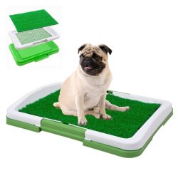 Tapete de Entrenamiento Puppy Potty baño Pasto Pequeño