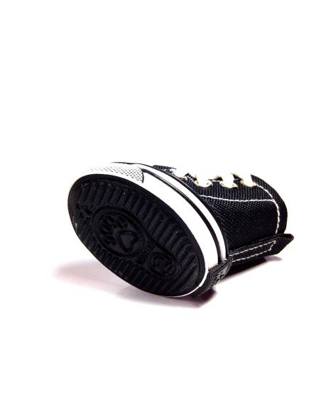 Zapatos Tenis Kpets tipo Converse Mascotas Zapatos Tenis Kpets tipo Converse Mascotas