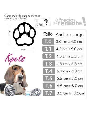 Zapatos Tenis Kpets tipo Converse Estampados para Perro