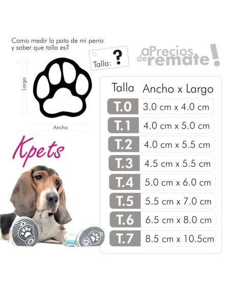 Zapatos Tenis Kpets tipo Converse Estampados para Perro