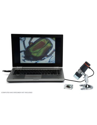 Microscopio Digital De Mano Celestron Ref 44302-B