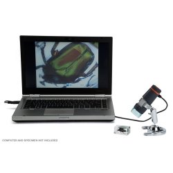 Microscopio Digital De Mano Celestron Ref 44302-B