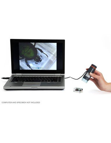 Microscopio Digital De Mano Celestron Ref 44302-B