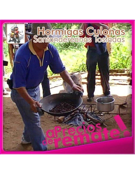 Hormigas Culonas Santandereanas Tostadas 85 gramos Hormigas Culonas Santandereanas Tostadas 85 gramos
