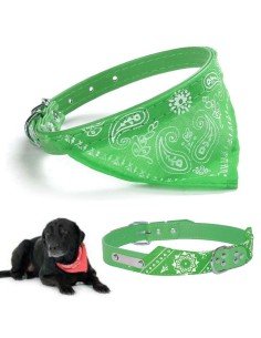 Collar con Pañoleta para Mascotas Grandes correa bandana perro 2