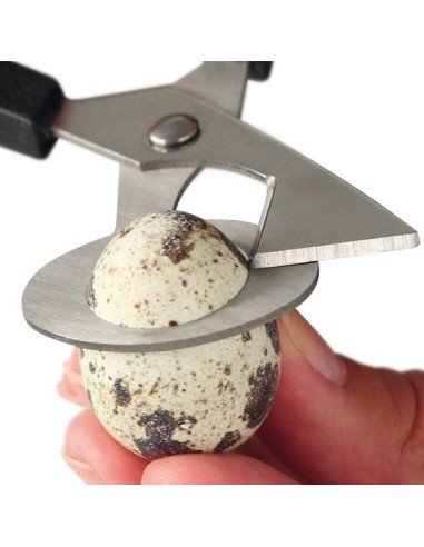 Tijeras Egg Slicer Topper Cortador de Huevo de Codorniz