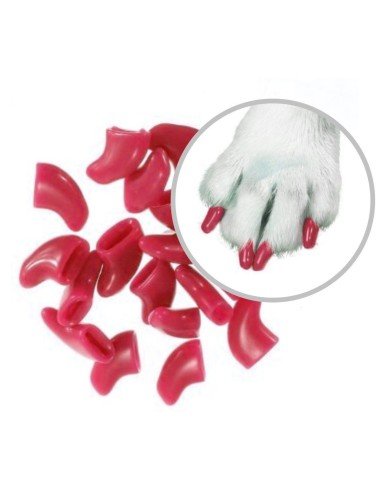Set x6 Protector de Uñas Mascota, Nails Caps en colores