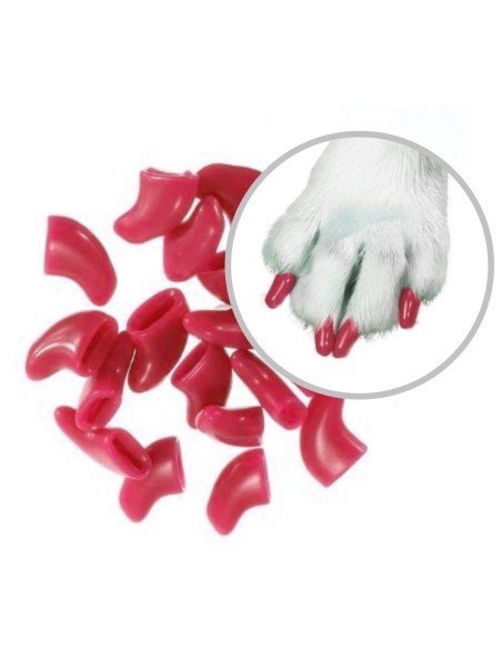 Set x6 Protector de Uñas Mascota, Nails Caps en colores