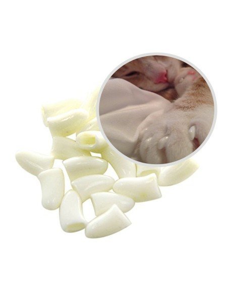 Protector de Uñas Mascota