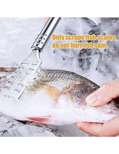 Descamador Pescado Pelador Escamas Acero Inoxidable