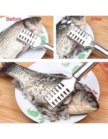 Descamador Pescado Pelador Escamas Acero Inoxidable Descamador Pescado Pelador Escamas Acero Inoxidable