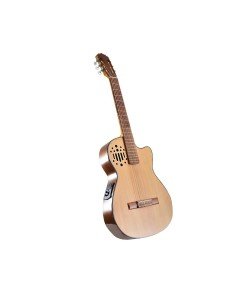 Guitarra Electro-Acústica dos Bandas 2