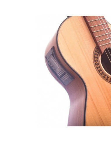 Guitarra Electroacústica Premiun en Pino Abeto Alemán