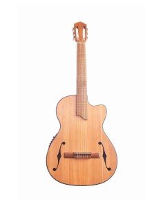 Guitarra Electroacústica Premiun en Pino Slim F