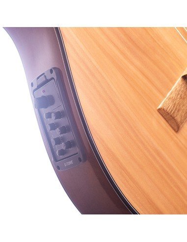 Guitarra Electroacústica Premiun en Pino Slim F