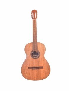 Guitarra Electroacústica Premiun en Urapán