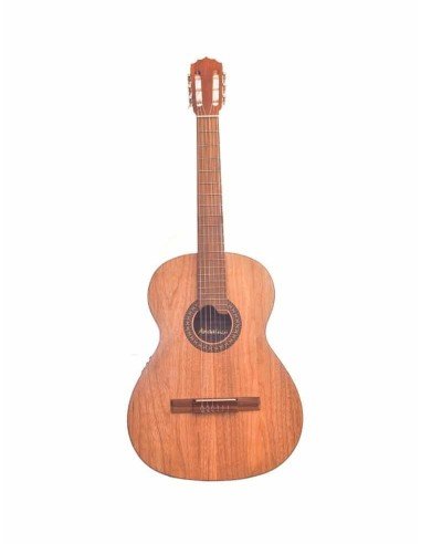 Guitarra Electroacústica Premiun en Urapán