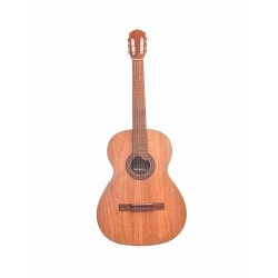 Guitarra Electroacústica Premiun en Urapán