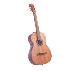 Guitarra Electroacústica Premiun en Urapán