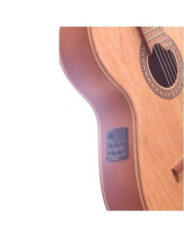 Guitarra Electroacústica Premiun en Urapán