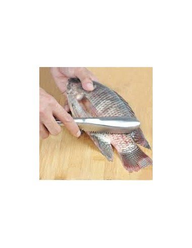 Descamador De Pescado Pelador Escamas Acero Inox