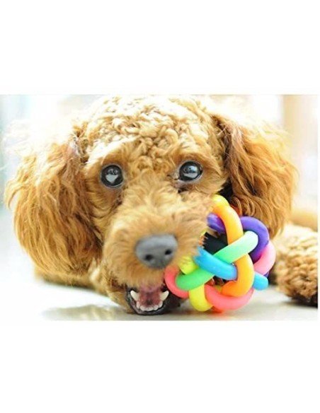 Juguete Bola pequeña multicolor para Mascota 