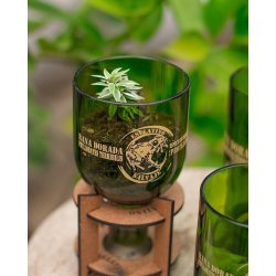 Set EcoEscritorio 3 contenedores Ecológicos eseLatino !!