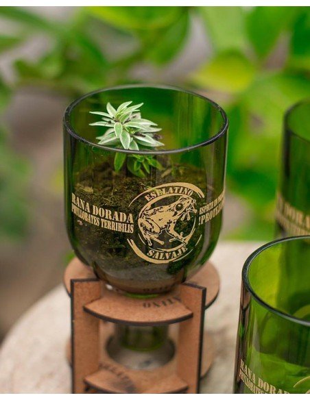 Maceta Suculenta Matero Vidrio Reciclado eseLatino !!