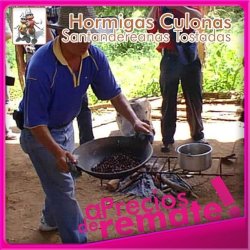 Hormigas Culonas Santandereanas Tostadas Media Libra 250gr