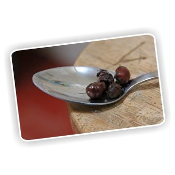 Hormigas Culonas Santandereanas Tostadas Media Libra 250gr