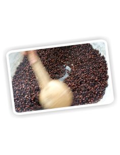 Hormigas Culonas Santandereanas Tostadas Media Libra 250gr 2