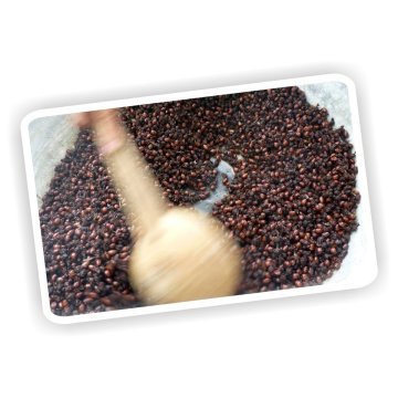 Hormigas Culonas Santandereanas Tostadas Media Libra 250gr