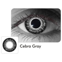 Lentes Locos Zebra Crazy Lentes Halloween 