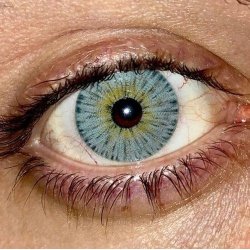 Lentes Cosméticos Urban NY  Hydro Color Fiesta