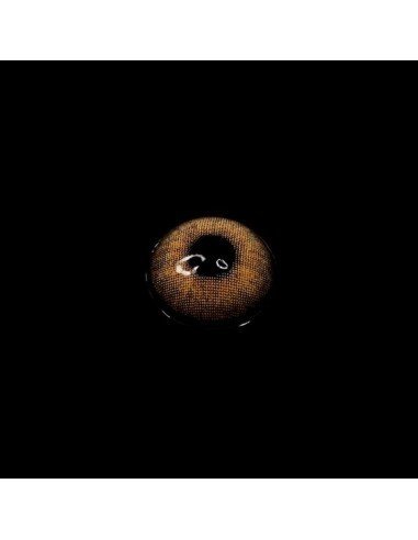 Lentes Cosméticos WildCat HidroCor Natural Color