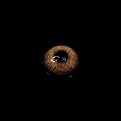 Lentes Cosméticos WildCat HidroCor Natural Color