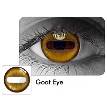 Lentes de contacto Mesh Pupila horizontal Goat Cabra Nublan Visión