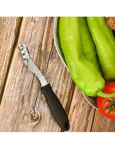 ⭐ Removedor de semillas pimientos tomates pepinos