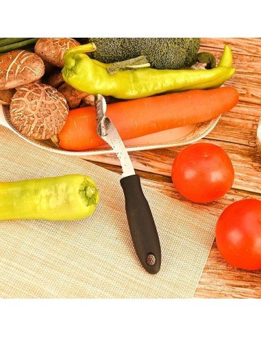 ⭐ Removedor de semillas pimientos tomates pepinos