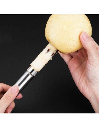 ⭐ Setx3 Removedores semillas ají chile jalapeños pimientos