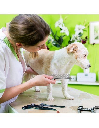 Peine Metálico para Mascotas de cerdas en acero inoxidable, pelo largo