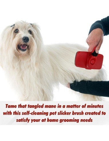 Cepillo Automatico Grande para Mascotas, se desprenden automáticamente