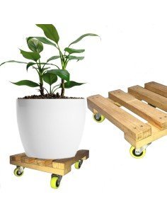 ⭐ Base con Ruedas para Matera soporte cuadrado Madera 25x25cm