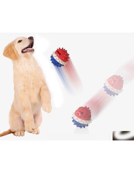 ⭐ Juguete Bola Premio Grande Interactivo Limpia dientes perro agresivo