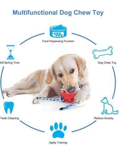 ⭐ Juguete Bola Premio Grande Interactivo Limpia dientes perro agresivo