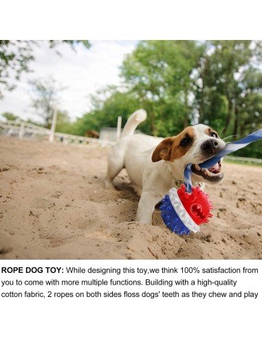 ⭐ Juguete Bola Premio Grande Interactivo Limpia dientes perro agresivo