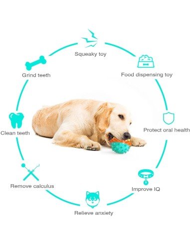 ⭐ Juguete Bola Premio Grande Interactivo Limpia dientes perro agresivo