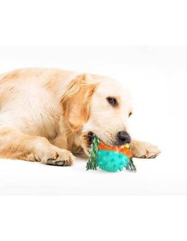 ⭐ Juguete Bola Premio Grande Interactivo Limpia dientes perro agresivo