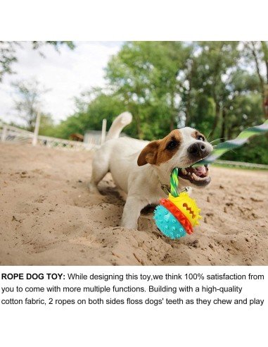 ⭐ Juguete Bola Premio Grande Interactivo Limpia dientes perro agresivo