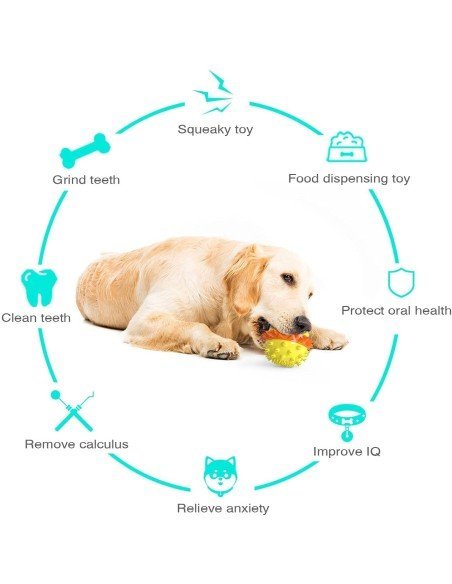 ⭐ Juguete Bola Premio Grande Interactivo Limpia dientes perro agresivo